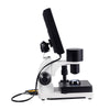 Image of Nailfold Capillaroscopy Microcirculation microscopy